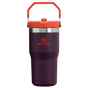 Swatch for Stanley 1913 The IceFlow™ Flip Straw Tumbler 20 OZ in Plum