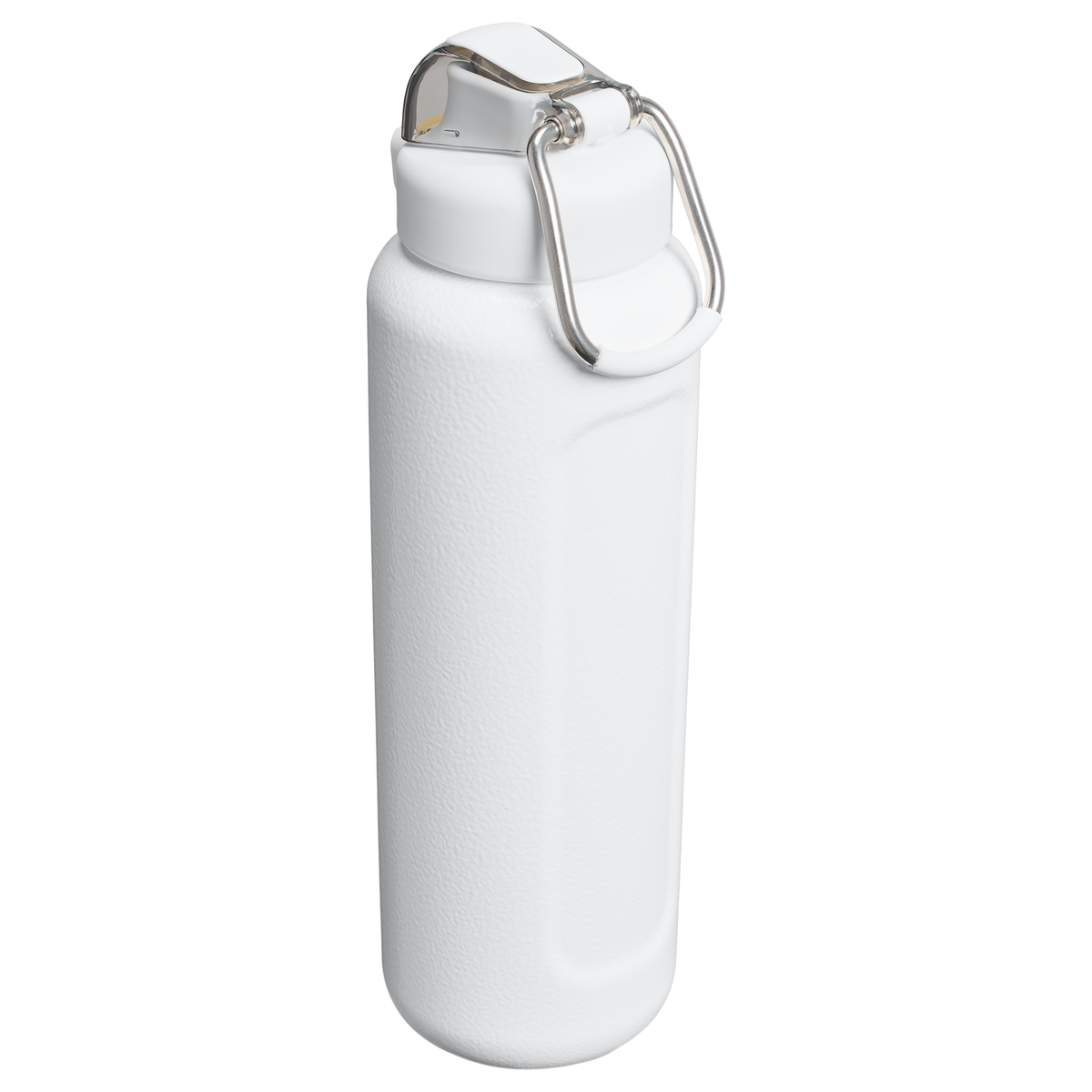 Stanley 1913 The Wellspring Bottle 32 OZ in Hammertone Frost