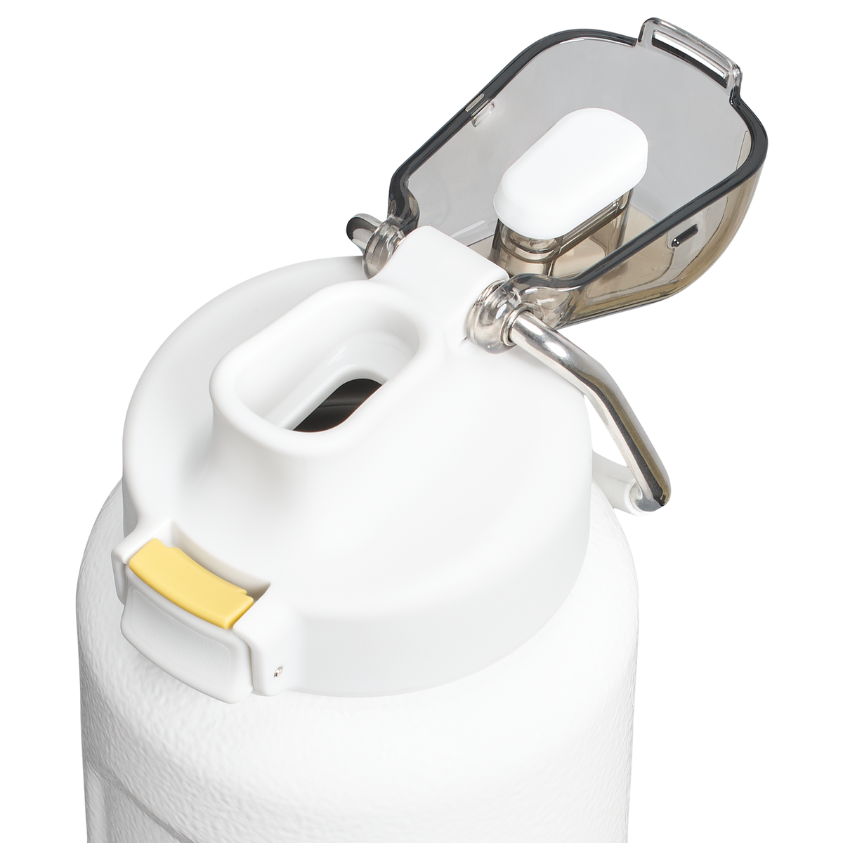 Stanley 1913 The Wellspring Bottle 32 OZ in Hammertone Frost